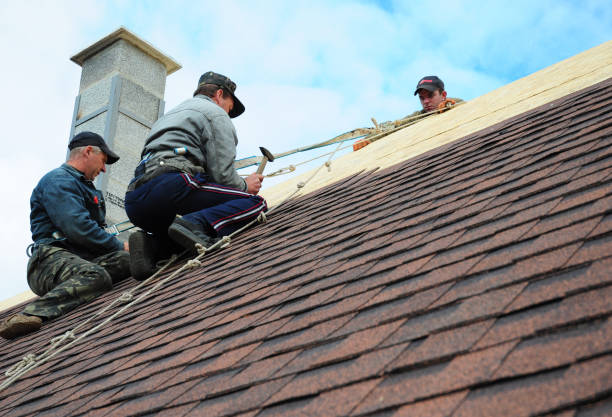 Roof Gutter Cleaning in Irvington, NY